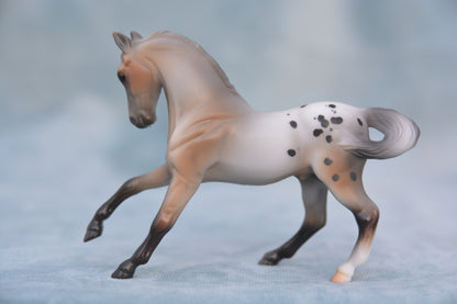 Polka Dot Warmblood 2