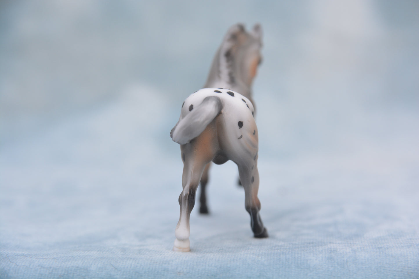 Polka Dot Warmblood 2