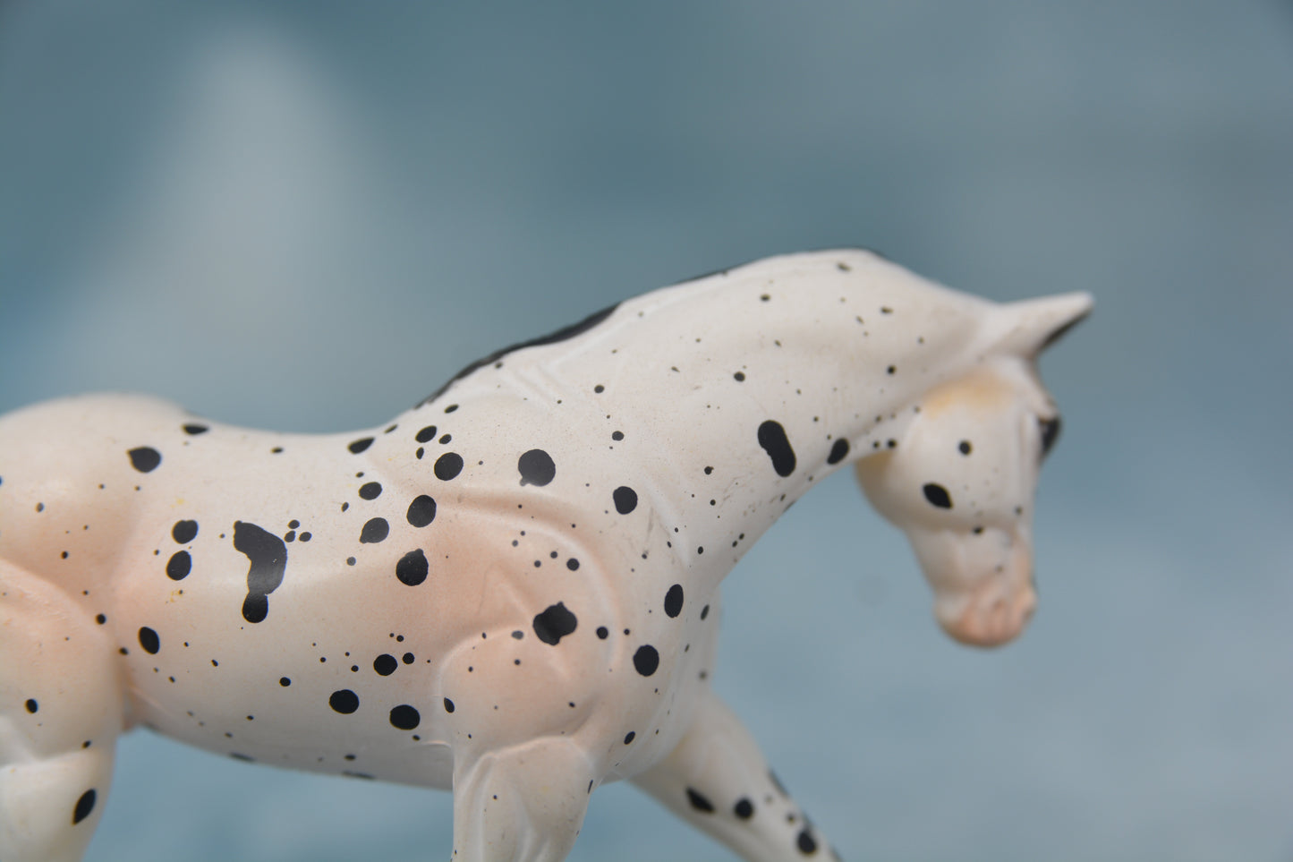 JAH G2 Appaloosa