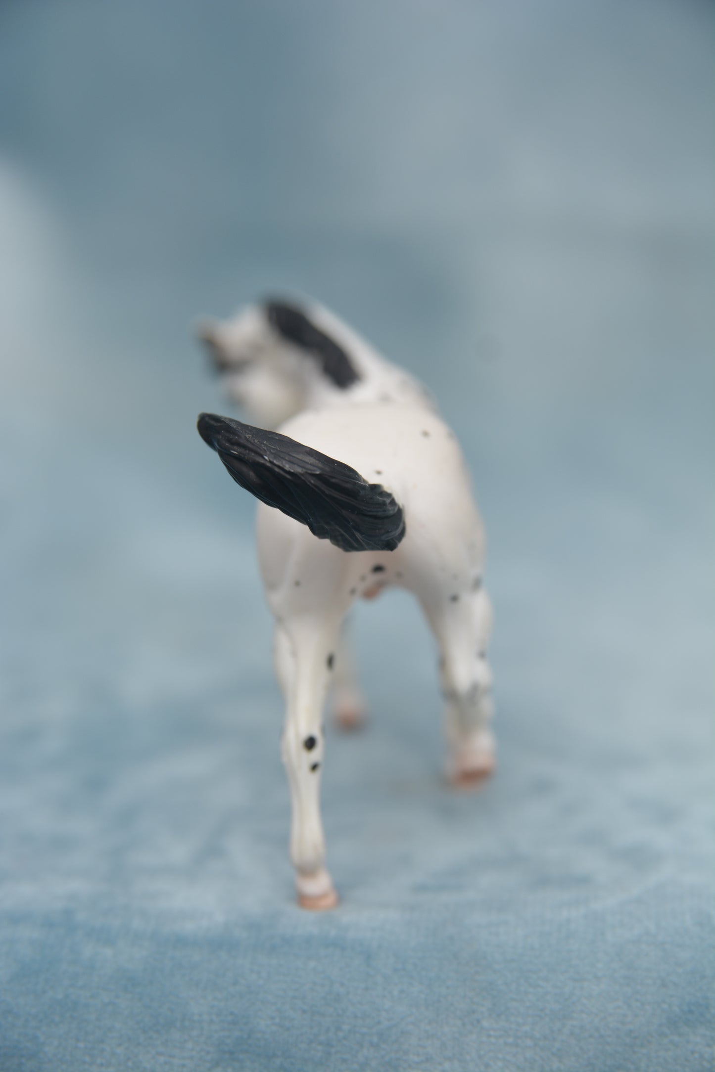 JAH G2 Appaloosa