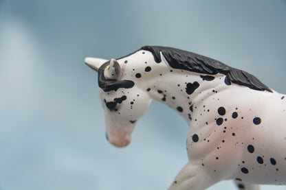 JAH G2 Appaloosa