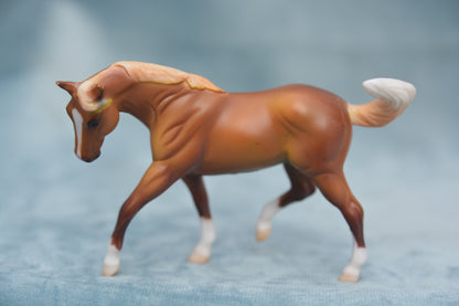 Horse Lover's G2 Appaloosa