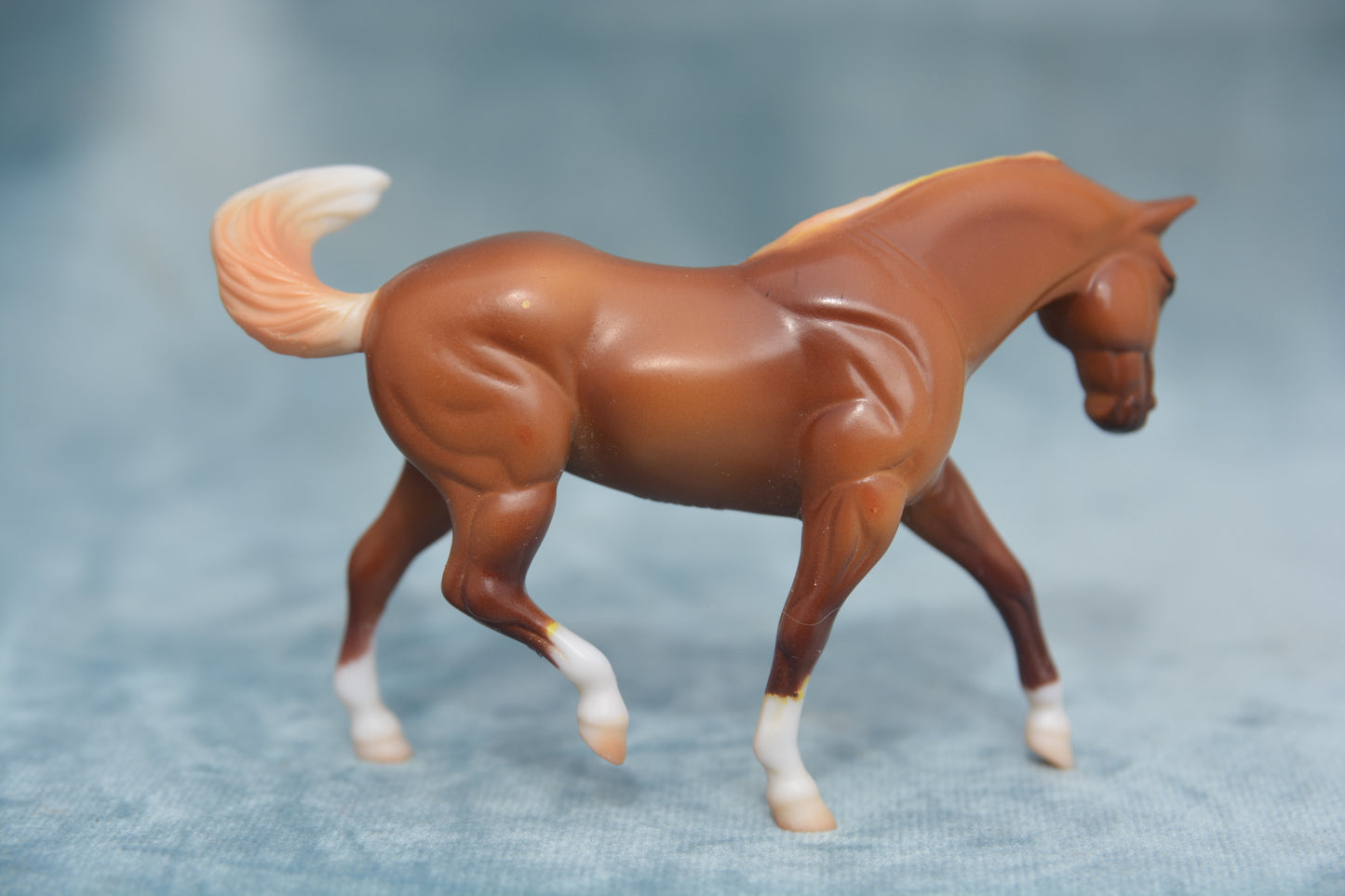 Horse Lover's G2 Appaloosa