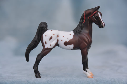Polka Dot Saddlebred