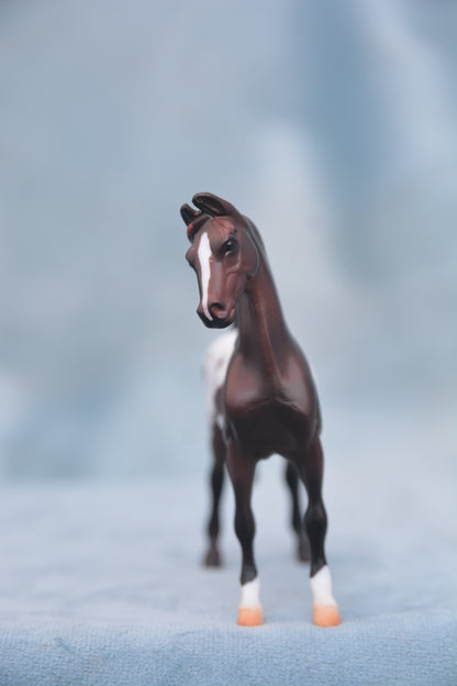 Polka Dot Saddlebred