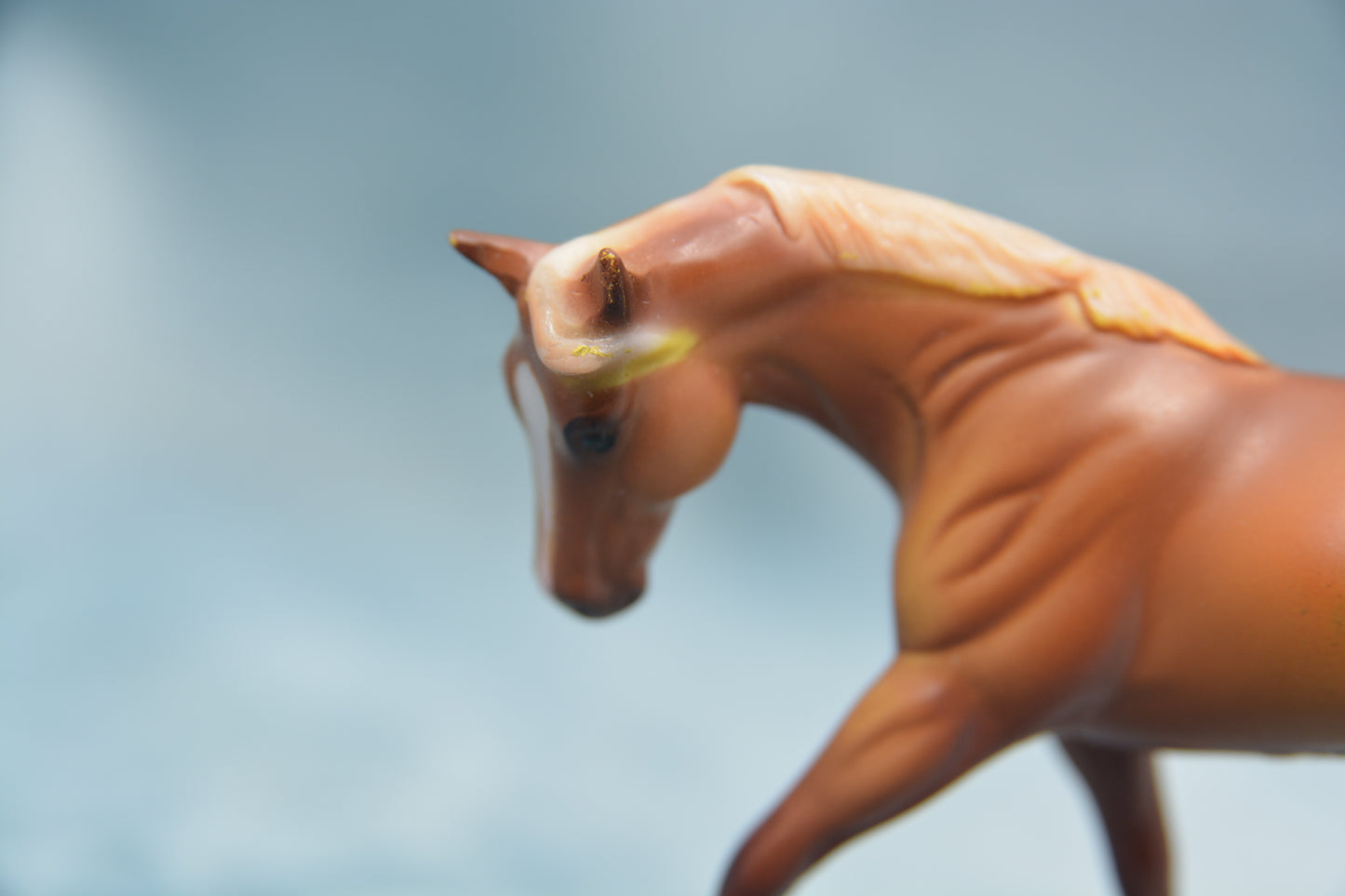 Horse Lover's G2 Appaloosa