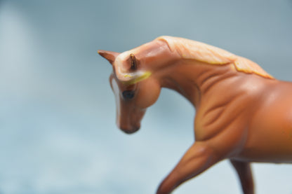 Horse Lover's G2 Appaloosa