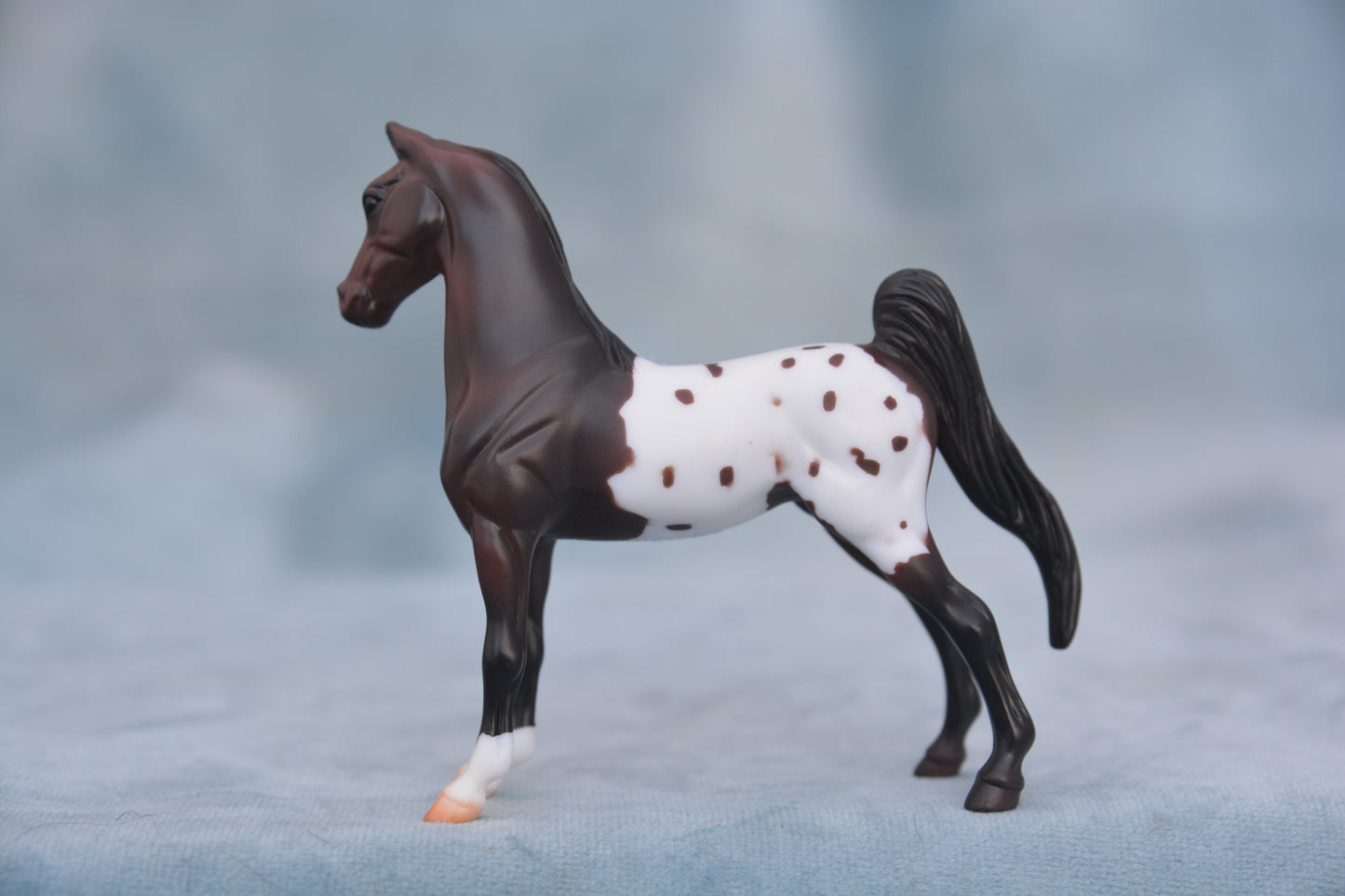 Polka Dot Saddlebred