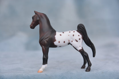 Polka Dot Saddlebred