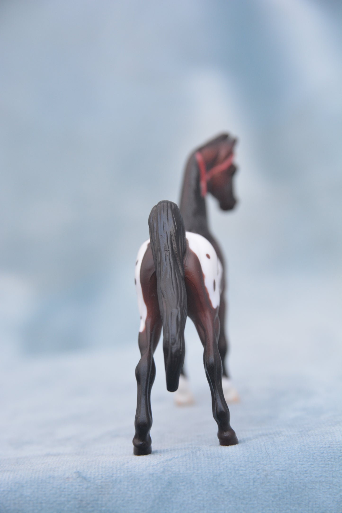 Polka Dot Saddlebred