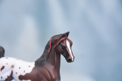 Polka Dot Saddlebred