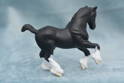 Black Shire