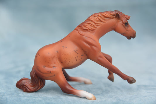 Mystery Horse Surprise - Reining