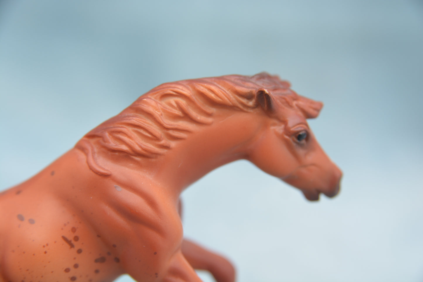 Mystery Horse Surprise - Reining
