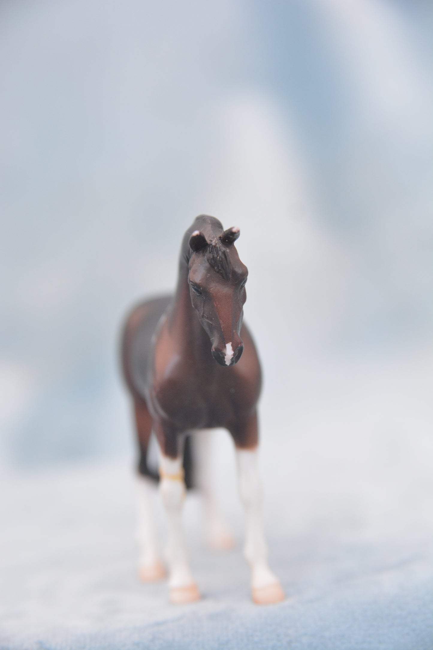 British Breed Thoroughbred