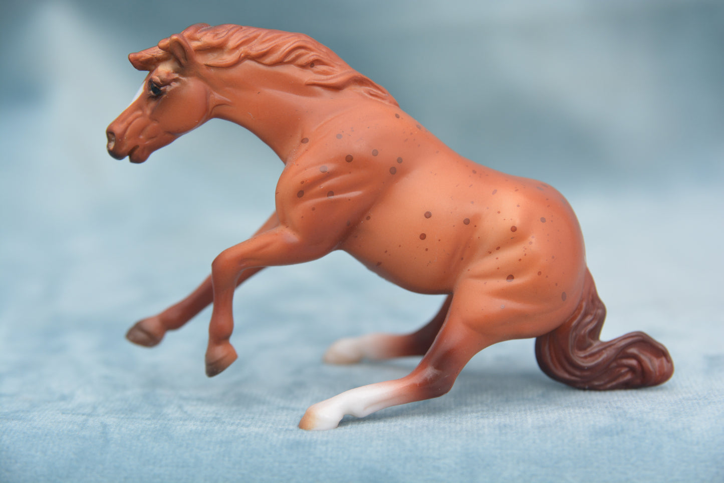 Mystery Horse Surprise - Reining