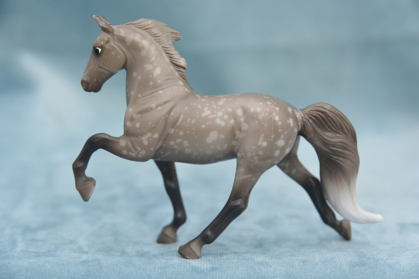 Tennessee Walker - Dapple Grey