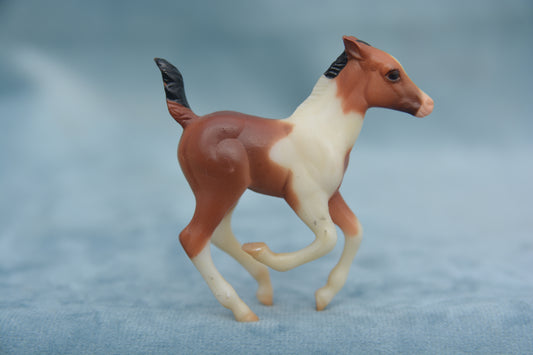 Pinto Cantering Foal