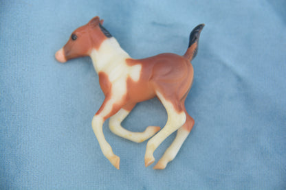 Pinto Cantering Foal
