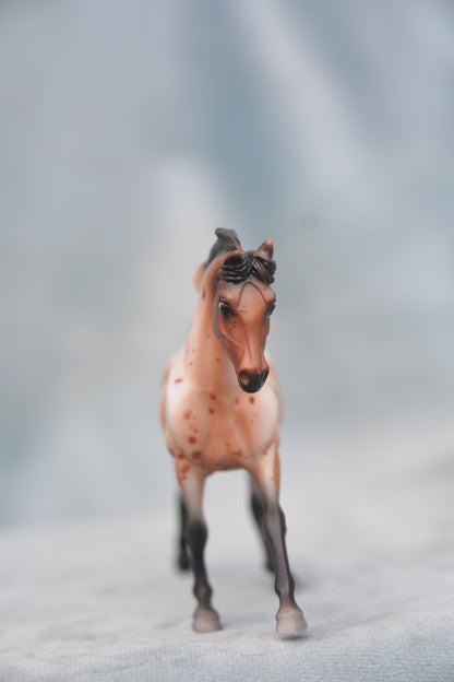 Sport Horse - Bay Blanket