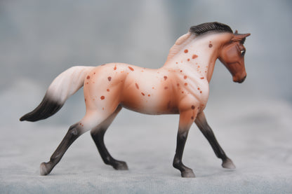 Sport Horse - Bay Blanket