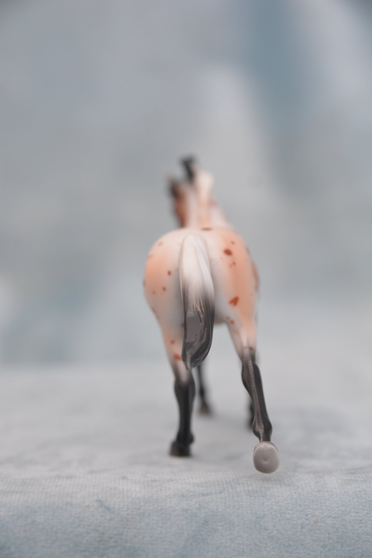 Sport Horse - Bay Blanket