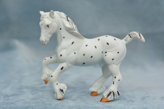Spotted G2 Clydesdale