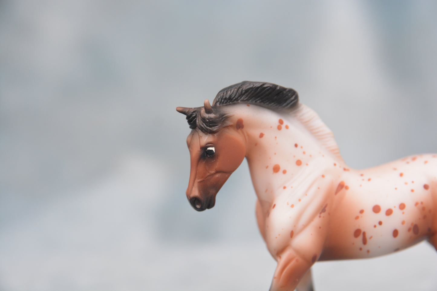 Sport Horse - Bay Blanket