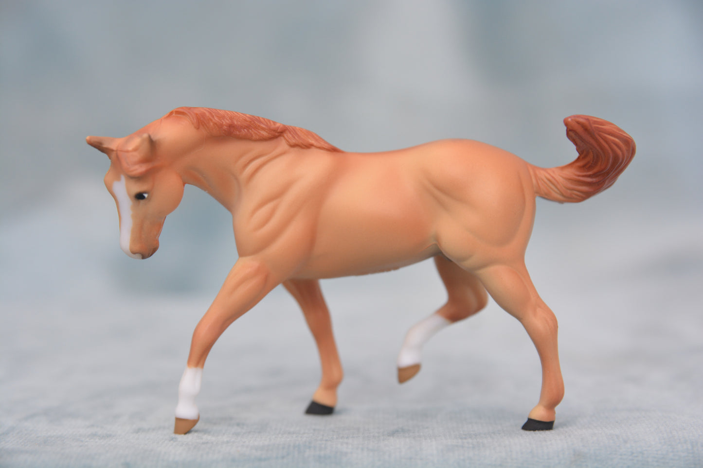 Red Stable Appaloosa