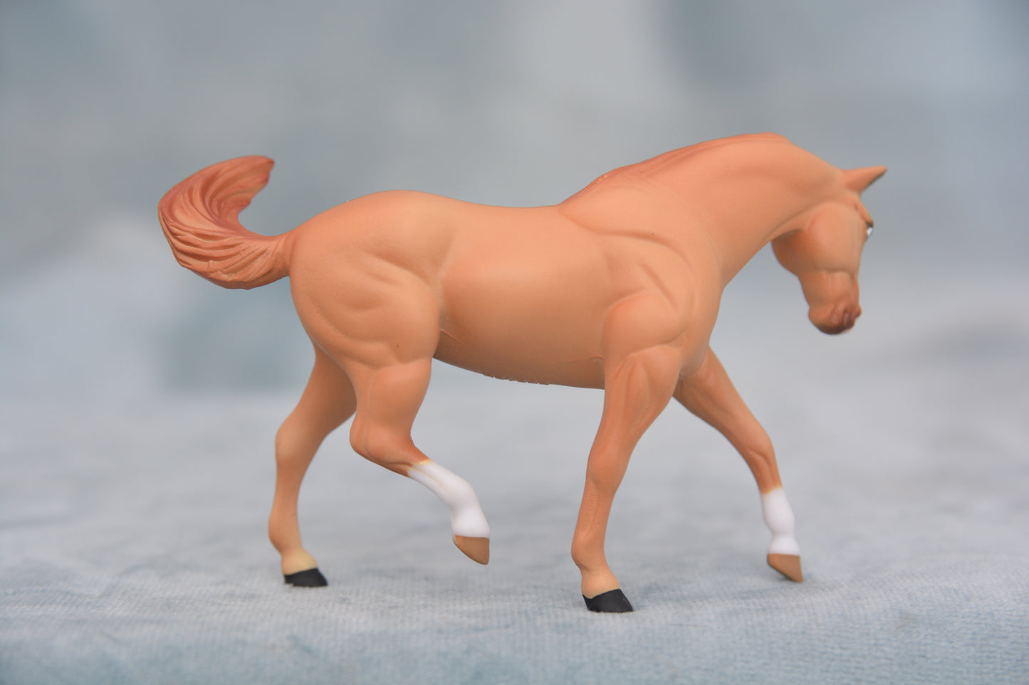 Red Stable Appaloosa