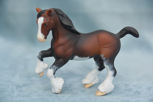 Bay G2 Clydesdale