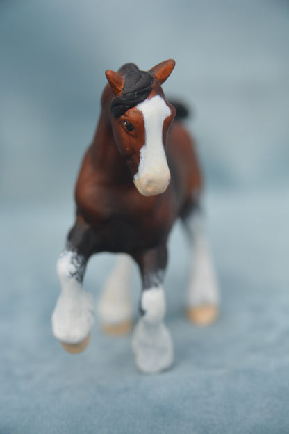 Bay G2 Clydesdale
