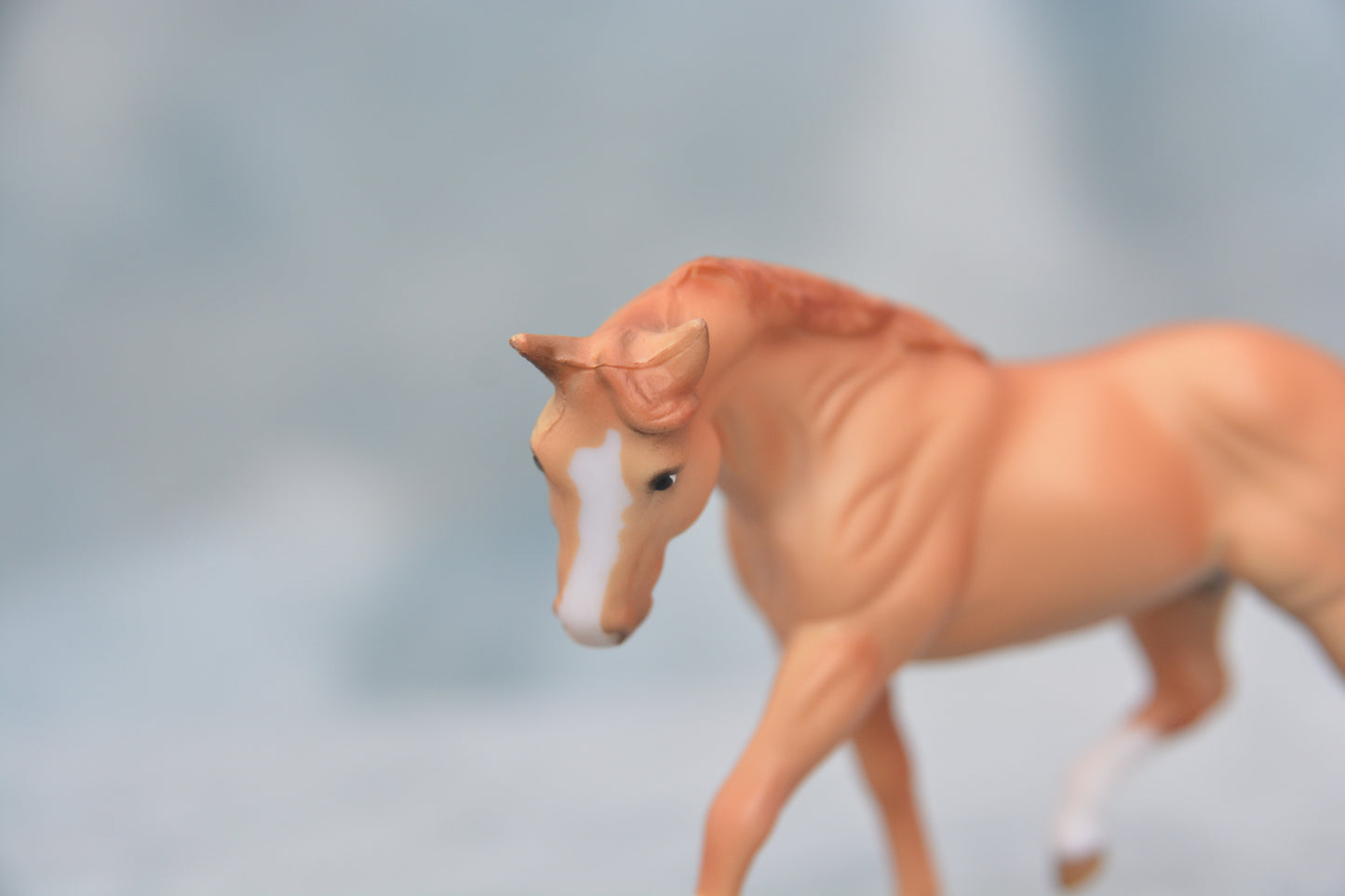 Red Stable Appaloosa