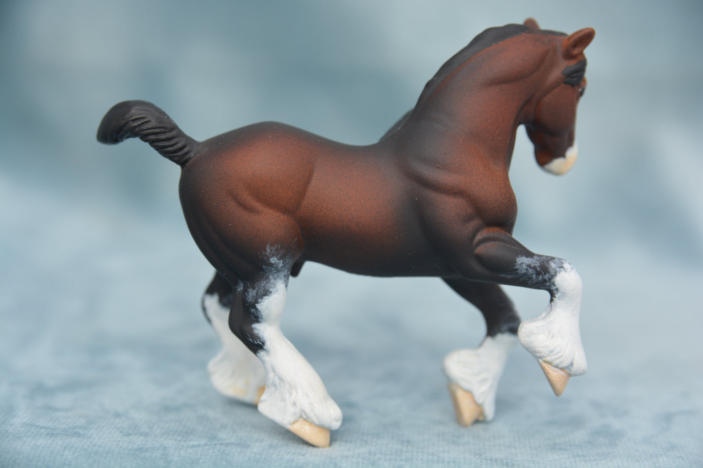 Bay G2 Clydesdale