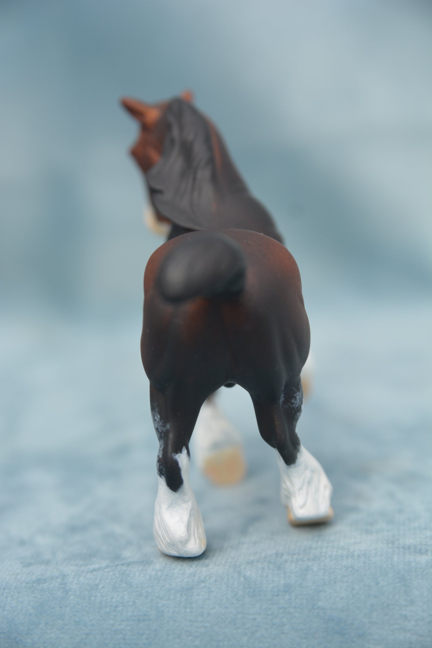 Bay G2 Clydesdale