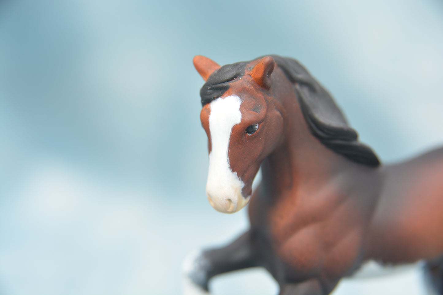 Bay G2 Clydesdale