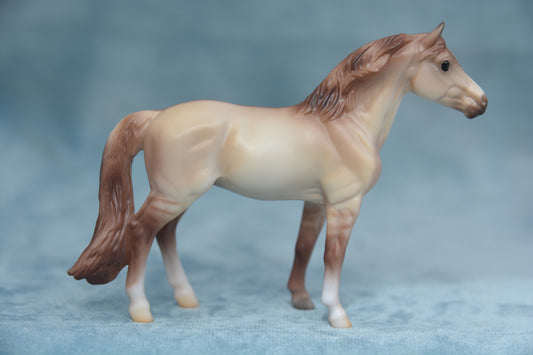 Stable Surprise Warmblood