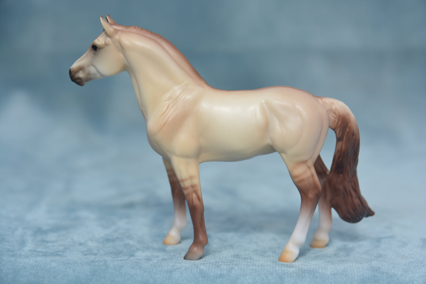 Stable Surprise Warmblood
