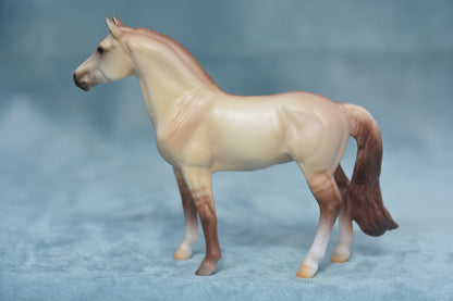 Stable Surprise Warmblood