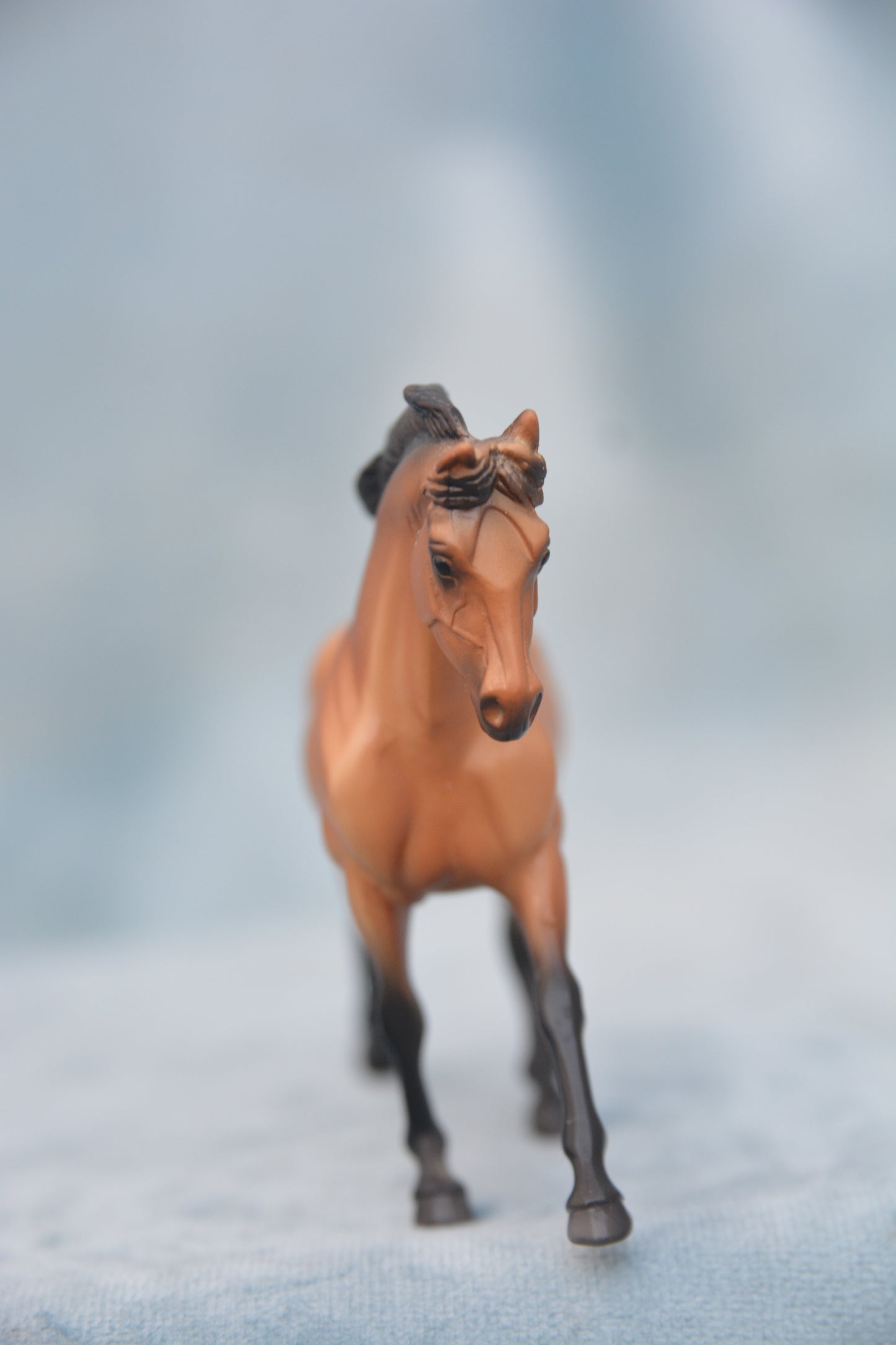 Roll and Go Warmblood