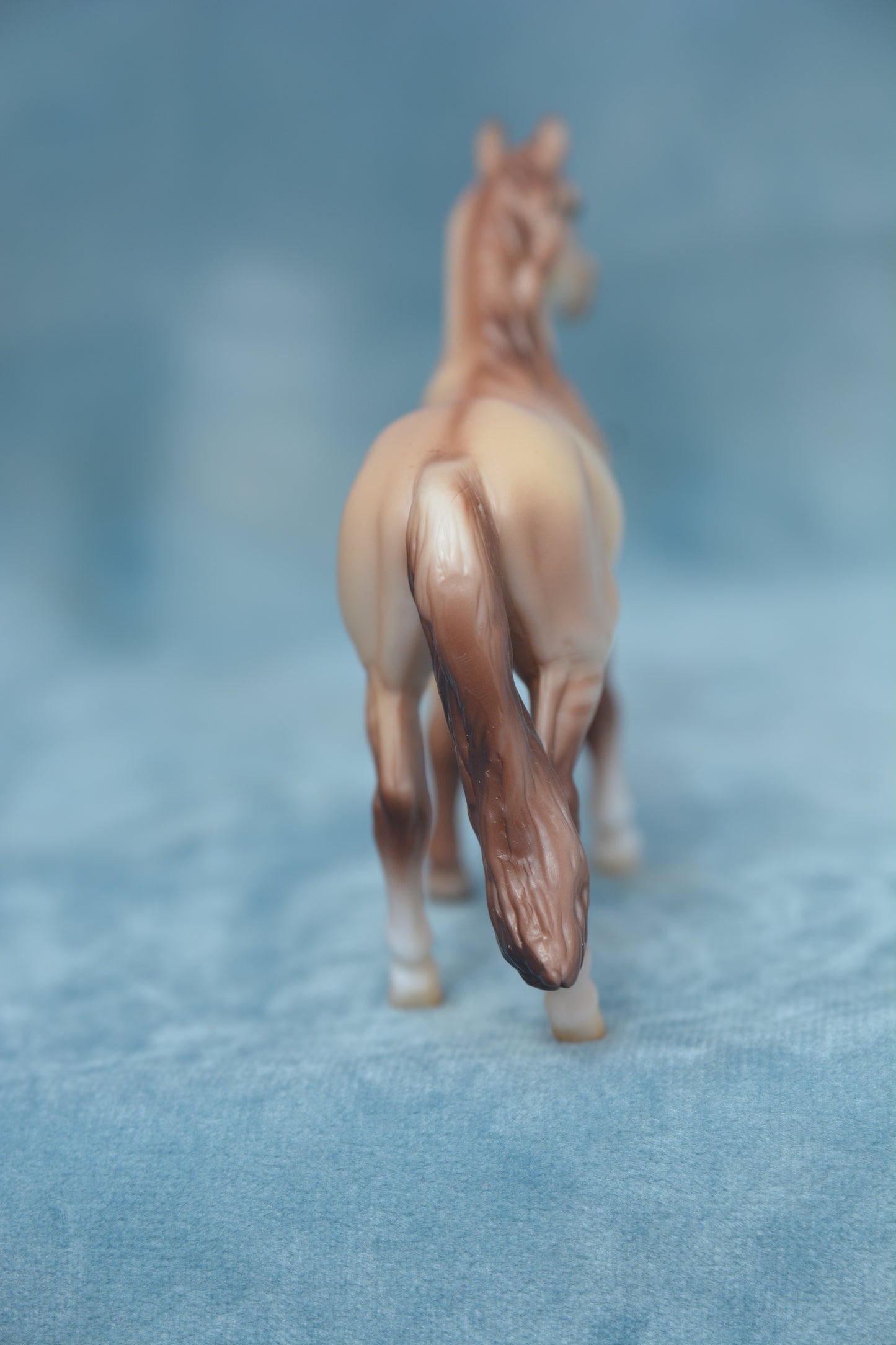 Stable Surprise Warmblood