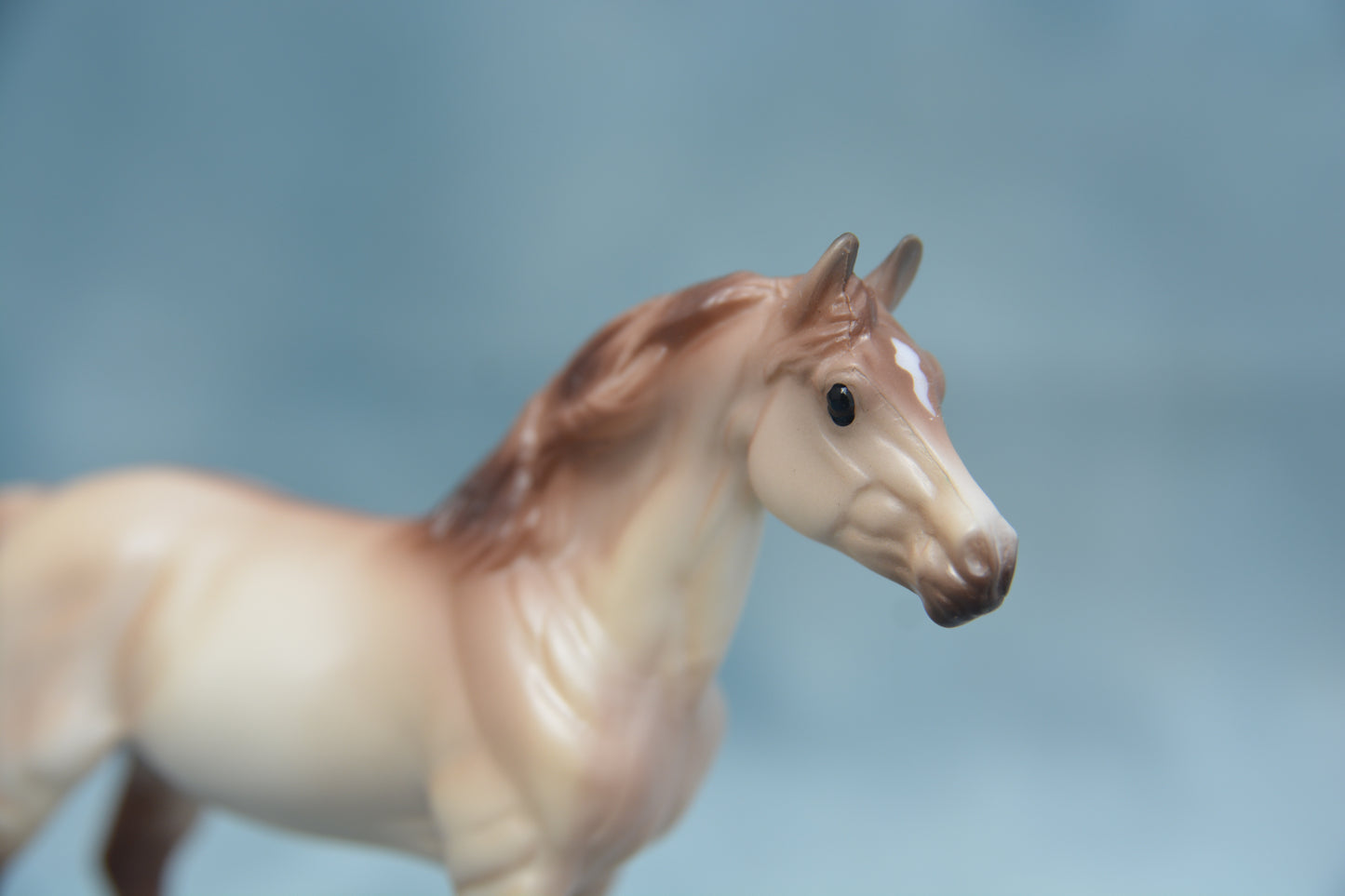 Stable Surprise Warmblood