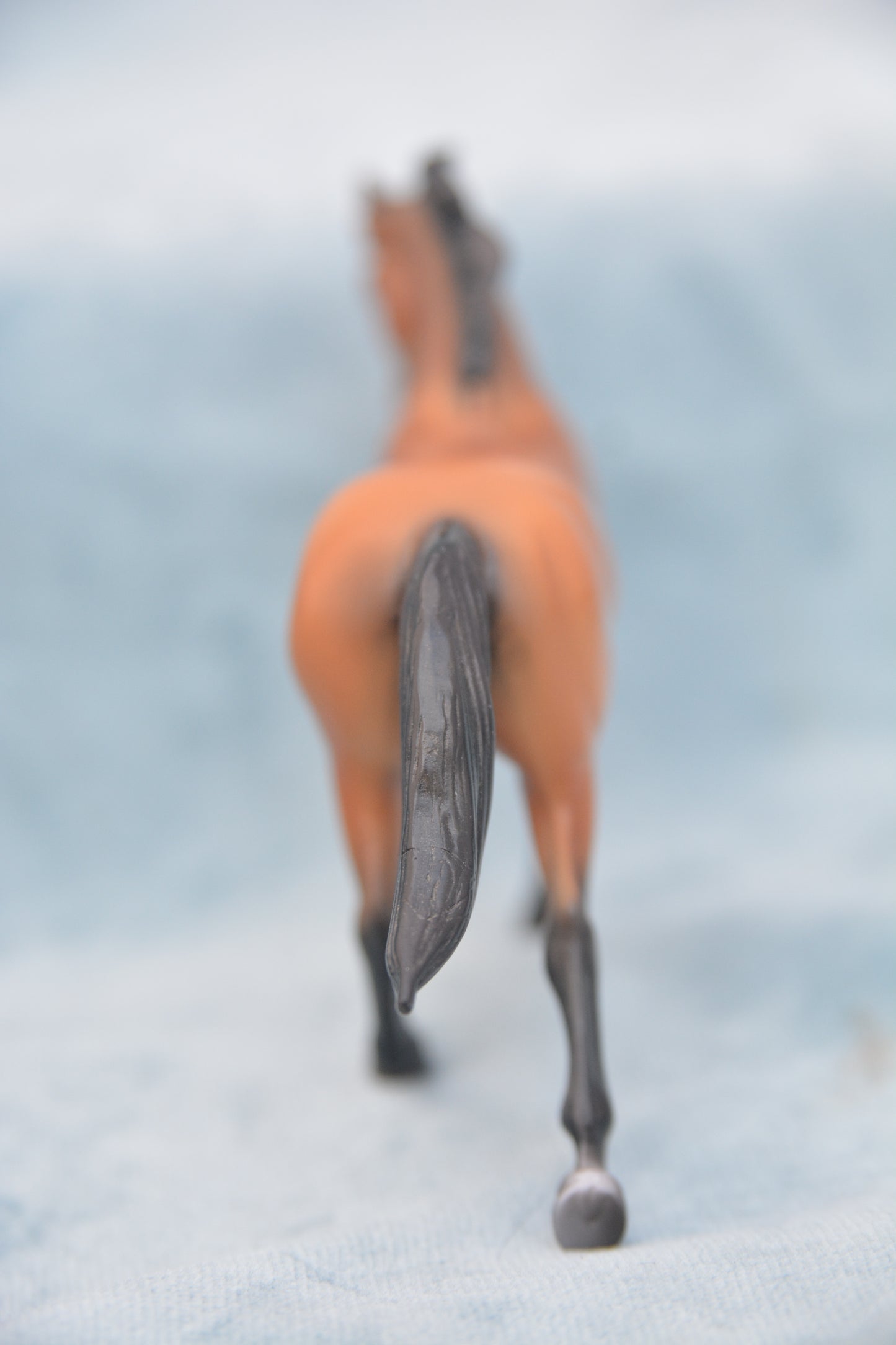 Roll and Go Warmblood