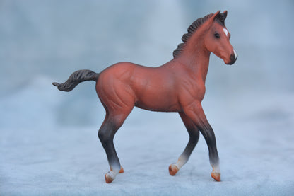 Bay Quarter Horse Foal