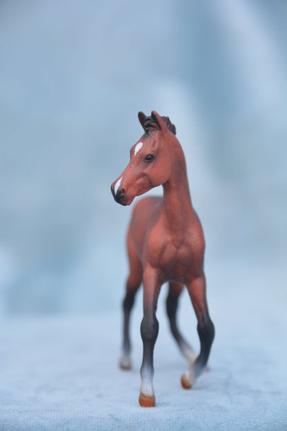 Bay Quarter Horse Foal