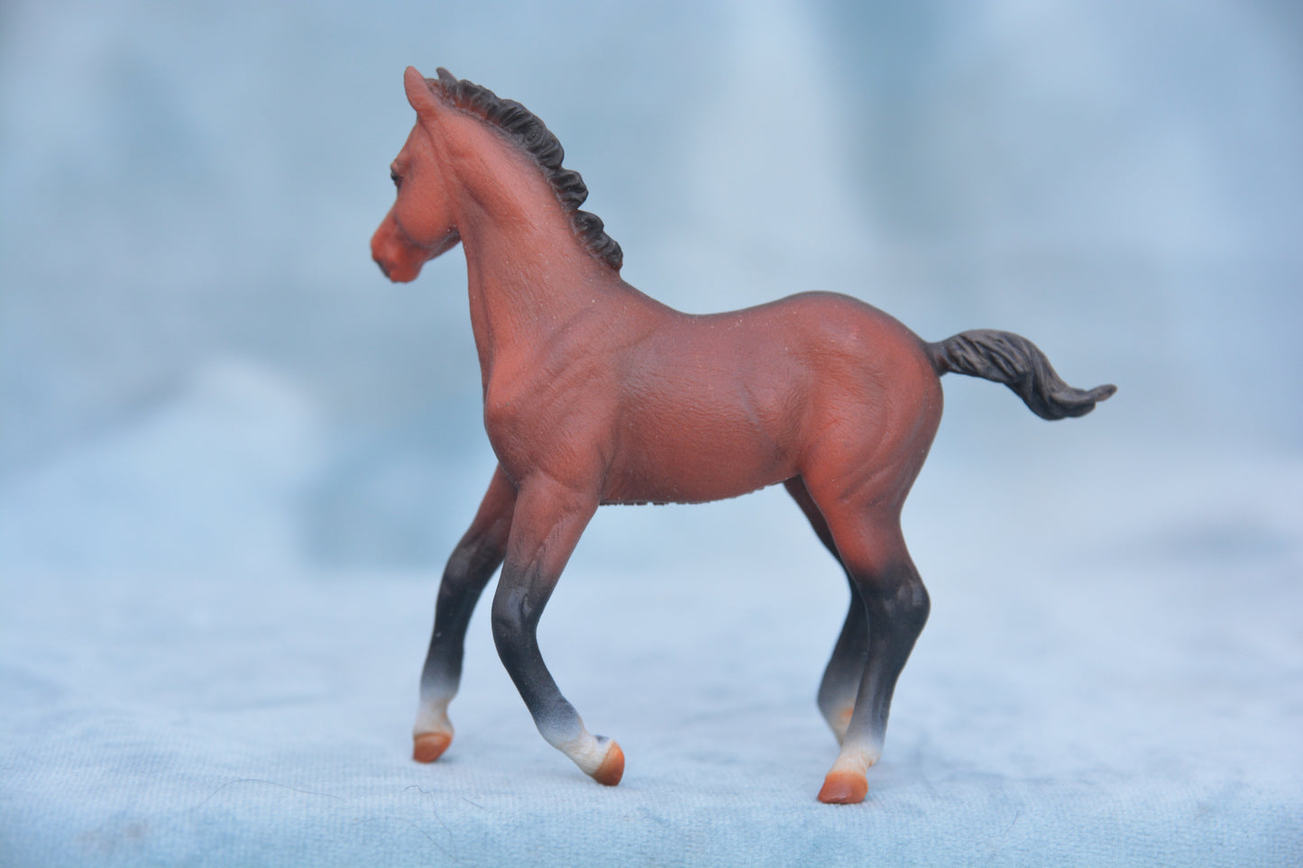 Bay Quarter Horse Foal