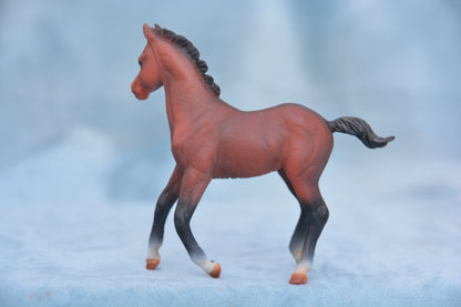 Bay Quarter Horse Foal