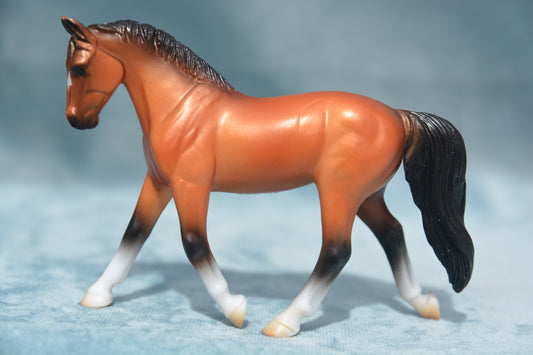 Warmblood