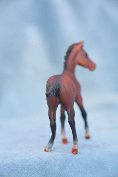 Bay Quarter Horse Foal