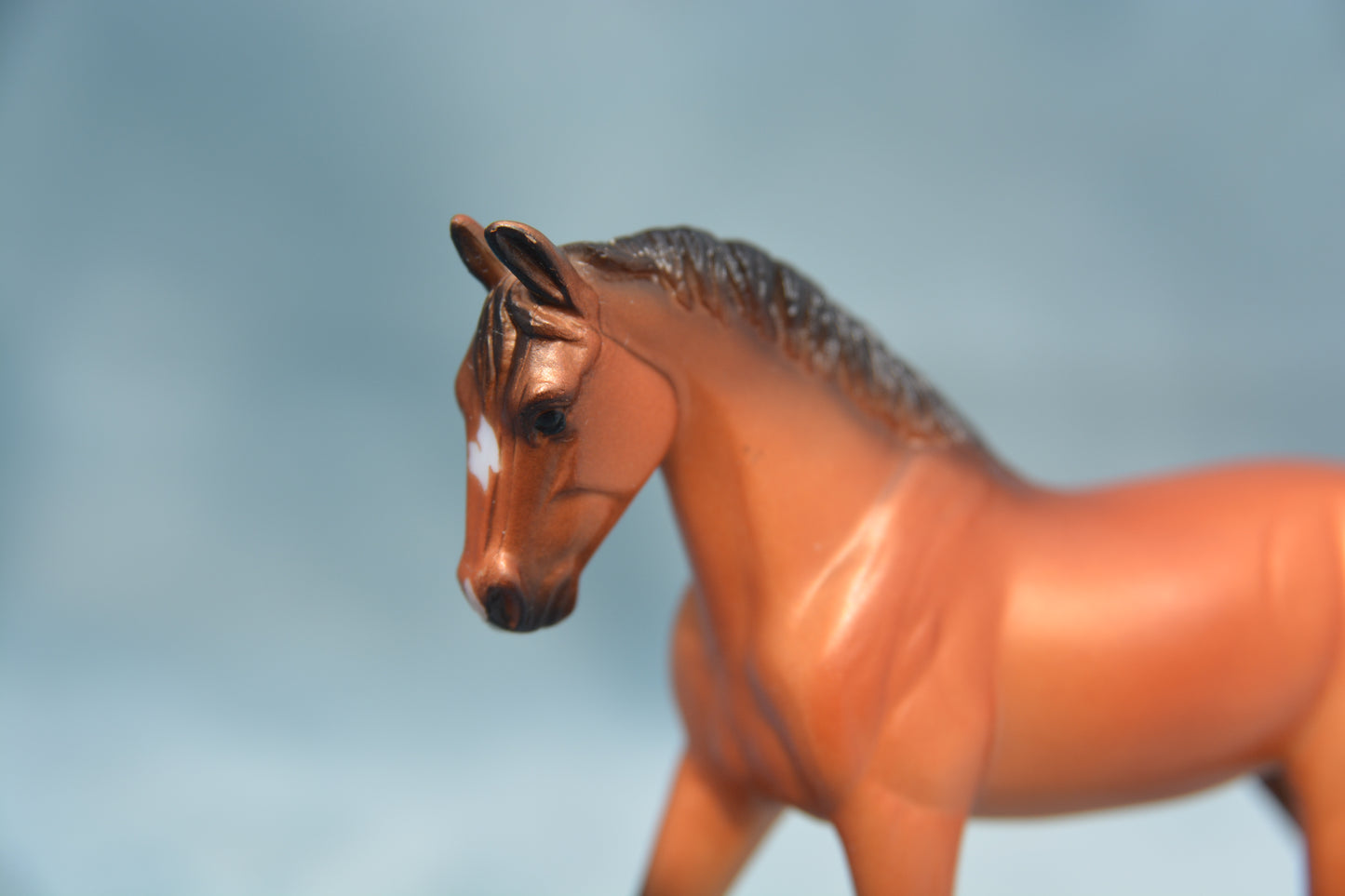 Warmblood